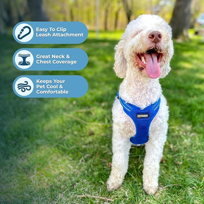 Best Pet Supplies Voyager Adjustable Dog Harness Leash Set with Reflective Stripes for Walking Heavy-Duty Full Body No Pull Vest with Leash D-Ring, Breathable All-Weather - Harness (Royal Blue), M