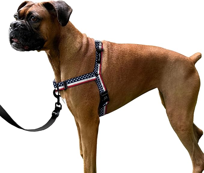 ShawnCo Dream Walk No-Pull Dog Harness- Adjustable, Comfortable, Easy to Use Pet Halter to Help Stop Pulling for Small, Medium and Large Dogs- Art Pattern Designs (Stars and Stripes, M)