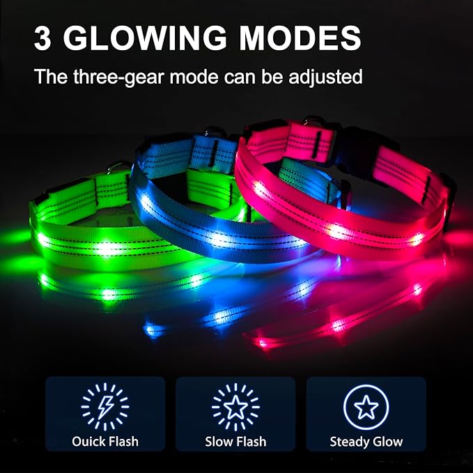 Light Up Dog Collar - BSEEN LED Dog Collar Rechargeable Lighted Dog Collar Reflective Glow Collars for Dogs, Super Bright Dog Lights for Night Walking (Blue-II, Large)