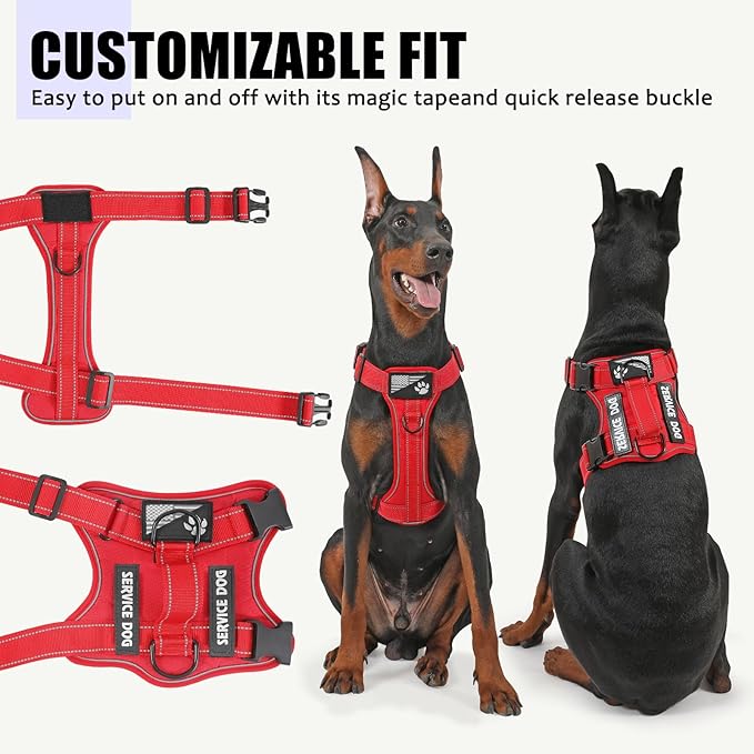 Demigreat Service Dog Harness, Reflective Dog Vest Harness with 5 PCS Patches, Adjustable Soft Oxford Pet Harness, Inner Layer Mesh, Easy to Control for Dogs (All-RED, Medium (Pack of 1))