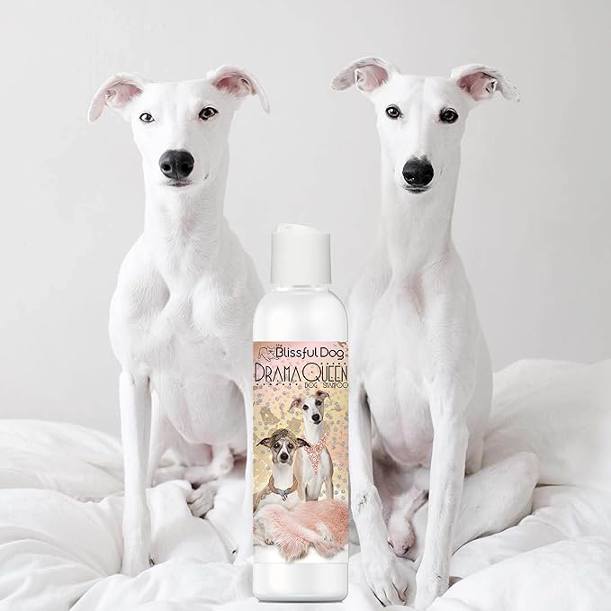 The Blissful Dog Whippet Drama Queen Dog Shampoo, 16-Ounce