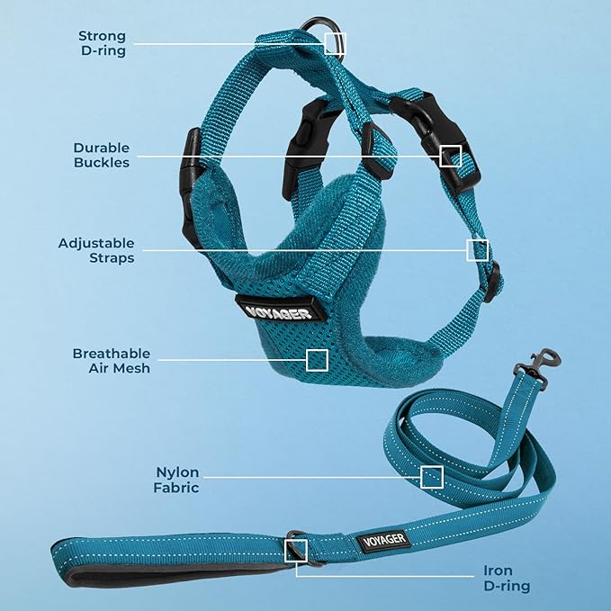 Voyager Step-in Lock Dog Harness w Reflective Dog Leash Combo Set with Neoprene Handle 5ft - Supports Small, Medium and Large Breed Puppies/Cats by Best Pet Supplies - Turquoise, L
