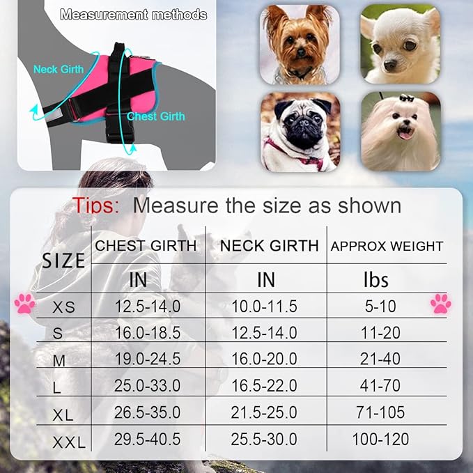 Bolux Dog Harness, No-Pull Reflective Dog Vest, Breathable Adjustable Pet Harness with Handle for Outdoor Walking - No More Pulling, Tugging or Choking X-Small (Pack of 1) RoseTurquoise