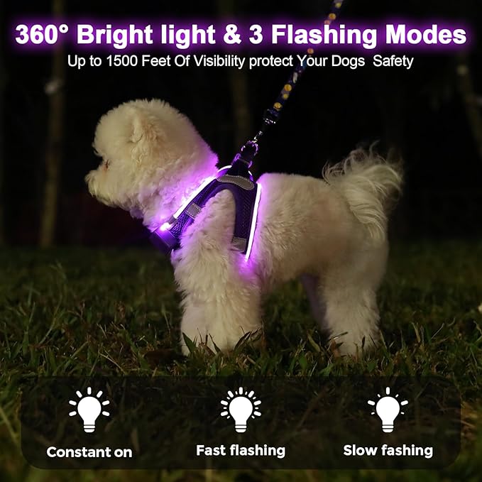 Light Up Dog Harness,LED Dog Harness Rechargeable, Lighted Dog Vest Harness for Night Walking,Reflective Safety Vest for Small Medium Large Dogs,Adjustable Soft Mesh,Purple,S