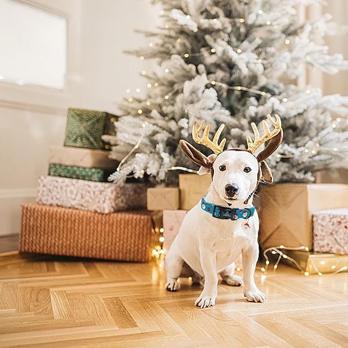 Lionheart glory Christmas Dog Collar, Blue Christmas Santa Deer Dogs Collar Adjustable Soft Comfortable Collars for Large Dogs Girl or Boy Pet Gift Fall Cute Collar