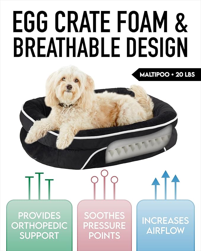 OhGeni Orthopedic Dog Bed for Medium Dogs, Dog Couch Design with Egg Foam Support, Removable, Washable Plush Cover and Non-Slip Bottom with Four Sided Bolster Cushion (Black)