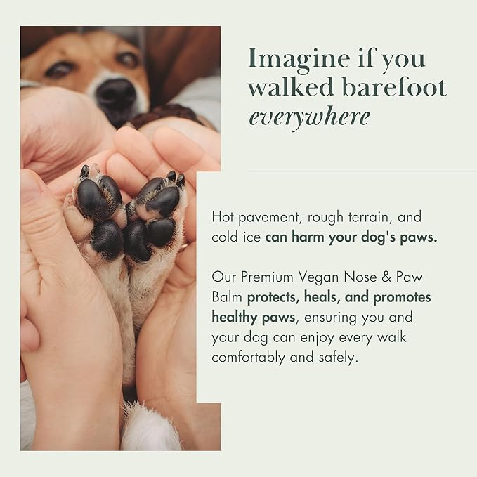 Vegan Dog Paw Balm Dogs & Nose Balm - All-Natural, Rich in Vitamin E Moisturizing Formula with Coconut Oil for Dogs & Shea Butter, Dog Nose Balm, Non-Toxic, Safe to Lick Paw Soother for Dogs