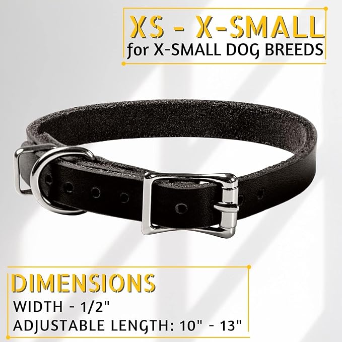 Adityna - Leather Dog Collar for Extra-Small Dogs and Puppies - Classic Style, Soft and Strong, Heavy Duty Black Leather Dog Collars for XSmall Dogs (XS - Neck: 10-13 inches, Black)