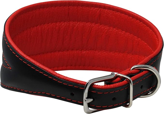 Real Leather Extra Wide Padded Tapered Dog Collar Glossy Black Greyhound Saluki Deerhound Lurcher Whippet Dachshund (16.25"-18.75" Neck; 3" Wide, Red)