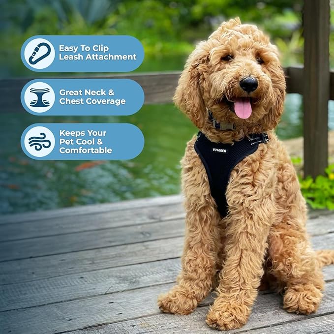 Best Pet Supplies Voyager Adjustable Dog Vest Harness Breathable No Pull Harness for Small, Medium, Large Dogs, Heavy Duty Harness for Walking, Jogging, Easy Step-in, Reflective Stripes - (Black), M