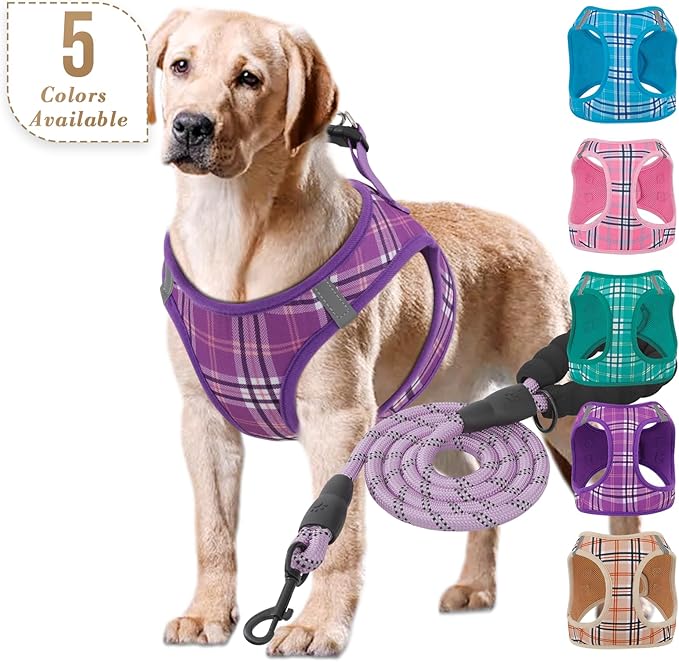 Athena Collection Step-in Dog Harness with 5 ft Leash, Large Dog Harness Leash Set Large No Pull Dog Vest Harness with Reflective Strips Adjustable Velcro, Easy Walk Dog Harness, Purple