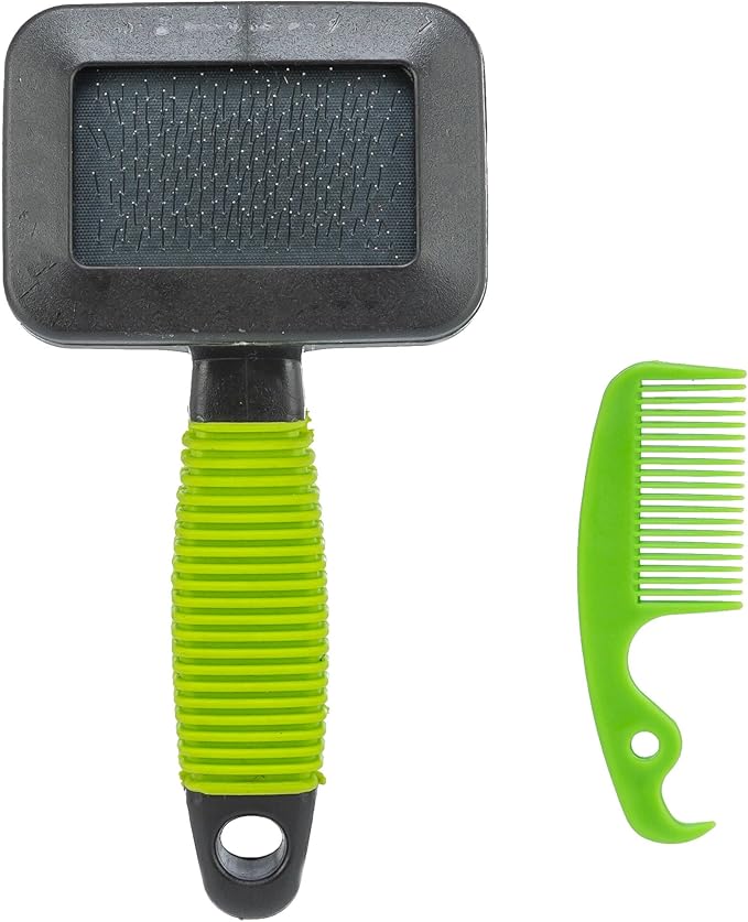 TRIXIE Pet Grooming Soft Brush & Comb Set for Puppies, Kittens, and Small Animals