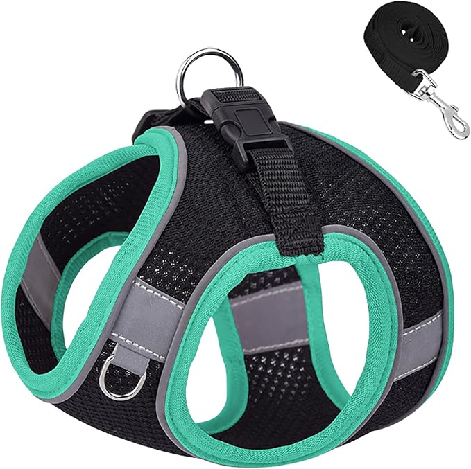 Dog Harness and Leash Set No Pull Step in Dog Harness with Reflective Bands Escape Proof Mesh Dog Vest Harness Leash with ID Tag