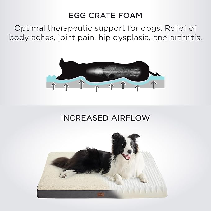Bedsure Small Dog Bed for Small Dogs - Orthopedic Dog Beds with Removable Washable Cover, Egg Crate Foam Pet Bed Mat, Suitable for Dogs Up to 20 lbs, Oxford Fabric Bottom