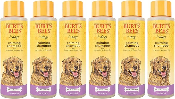 Burt's Bees for Pets Calming Dog Shampoo with Lavender and Green Tea, 6pk, 95% Natural Origin Formulas, Calming Lavender Dog Shampoo - Gentle Dog Shampoo, Best Dog Shampoo, Lavender, 6pk 16 oz