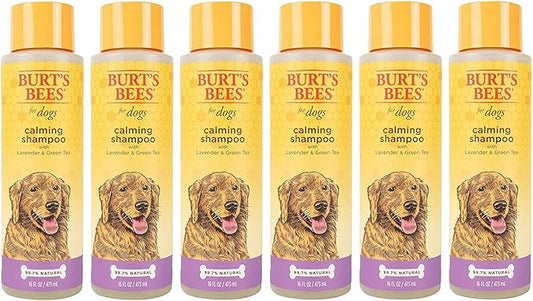 Burt's Bees for Pets Calming Dog Shampoo with Lavender and Green Tea, 6pk, 95% Natural Origin Formulas, Calming Lavender Dog Shampoo - Gentle Dog Shampoo, Best Dog Shampoo, Lavender, 6pk 16 oz