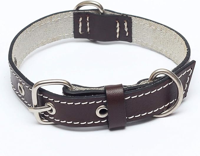 Premium Leather Collars with Stainless Steel Buckles (12"-15", Chocolate)