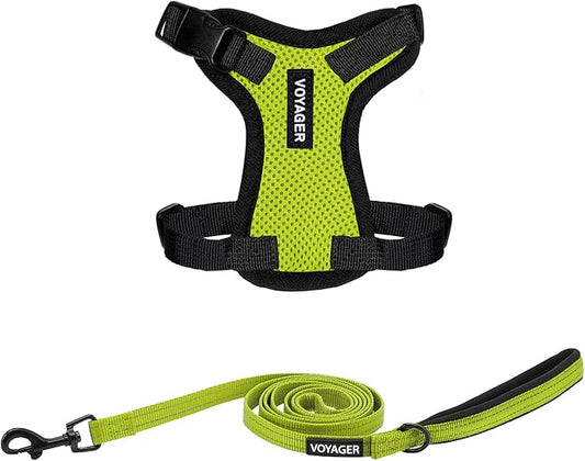 Voyager Step-in Lock Adjustable Cat Harness w. Cat Leash Combo Set with Neoprene Handle 5ft - Supports Small, Medium and Large Breed Cats by Best Pet Supplies - Lime Green/Black Trim, XXS