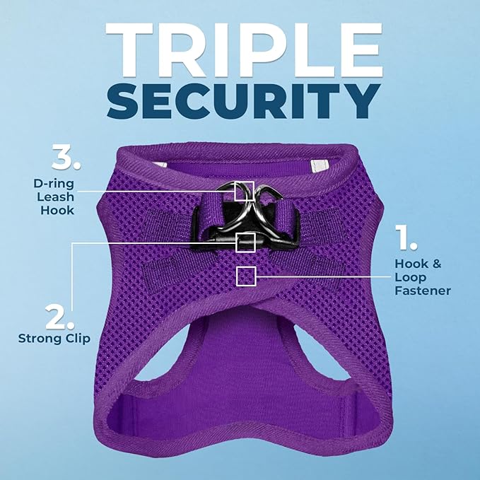 Voyager Step-in Air Dog Harness - All Weather Mesh, Reflective, No Pull Harness for Small, Medium Dogs, Cats - Secure with Hook & Loop Fastener, Buckle, Double D-Rings - Purple, XXS