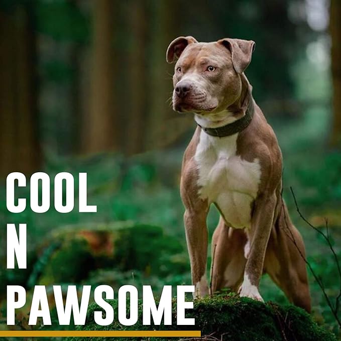 OneTigris Military Adjustable Dog Collar with Metal D Ring & Buckle 2 Sizes (Ranger Green, M)