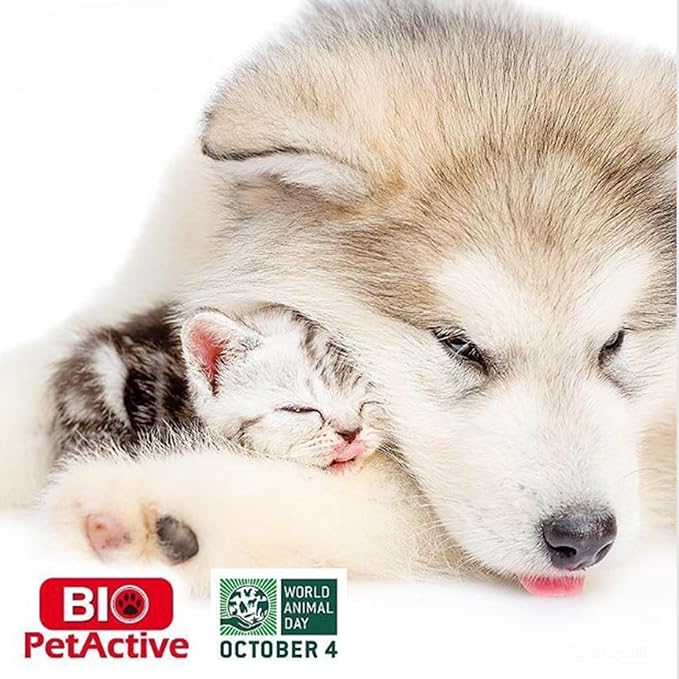 Bio Pet Active Beauty Shine Spray for Cats and Dogs - Improves Coat Health, Reduces Static and Adds Shine, Moisturizes and Softens Fur with Provitamin B5, 3.25 fl oz, 1 Pack