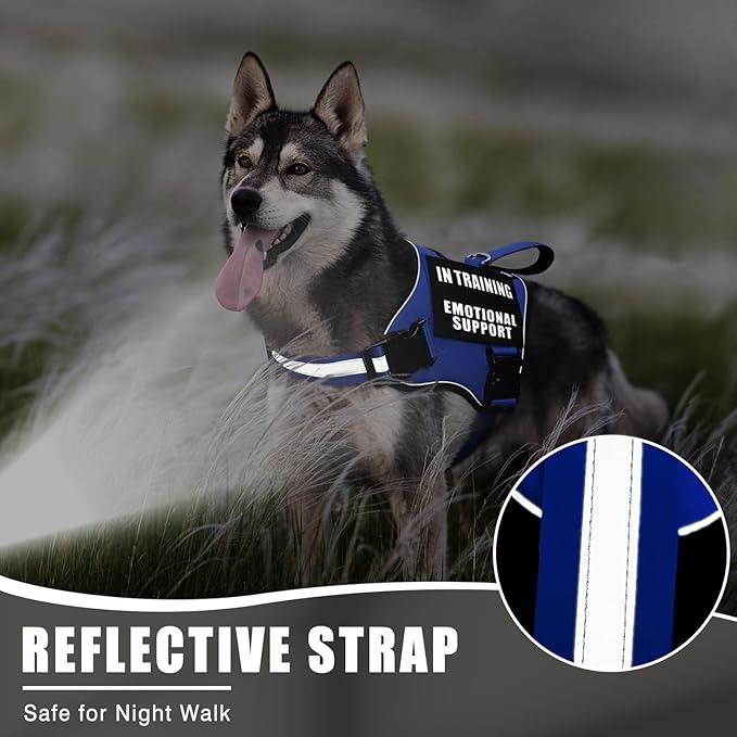 Service Dog Vest Harness+ID Tag+10 Patches,Metal Serivce Dog Tag&Reflective Emotional Support Dog Vest with Handle for Medium Dogs,Easy Put On/Off for Training/Walking/Everyday Blue M