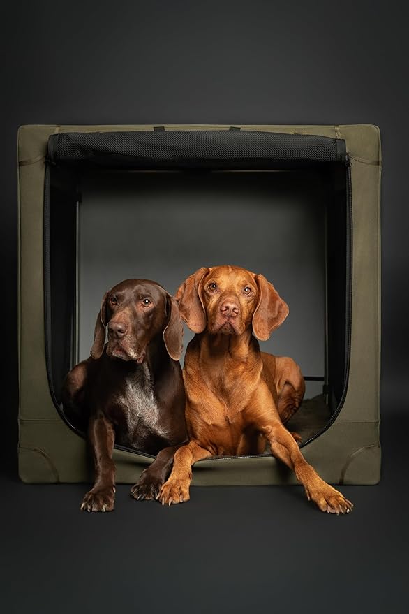 Noah & Paw Collapsible Dog Crate 42 Inch, XXL Dog Crate for XXL, XL, Large Breeds, Travel Kennel for Car, Includes Pet Mat for Pet Cage, 2 Storage Pockets, Handbag, 10mm Locking Zippers 42 * 31 * 31
