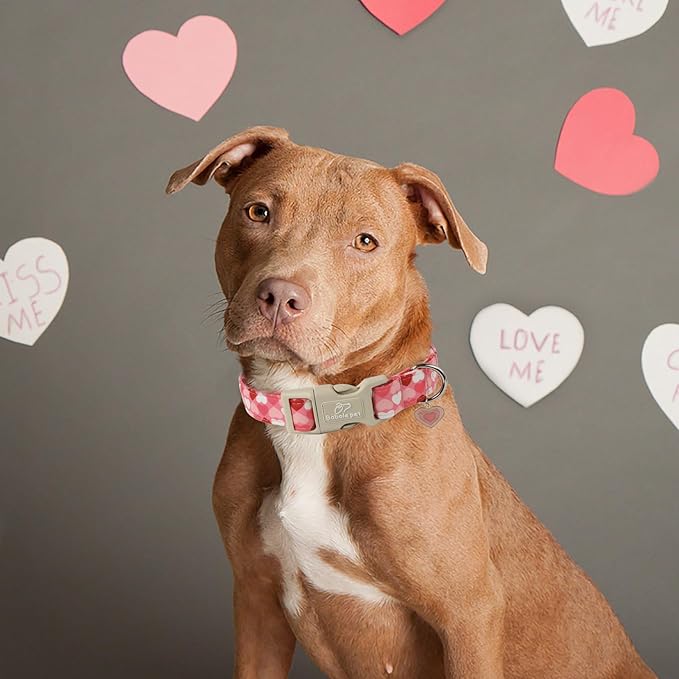 Valentine's Day Dog Collar - Cute Pink Valentines Dog Collar Girl Boy Durable Adjustable Love Heart Pattern Charm Dog Collars for Small Medium Large Dogs S