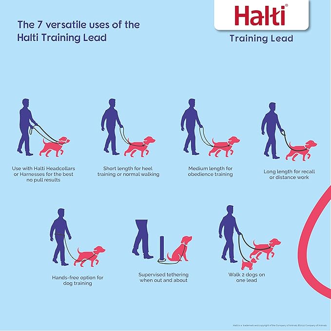 HALTI No Pull Harness Size Medium & HALTI Training Leash Size Large, Black Combination Pack - Stop Your Dog Pulling on The Leash. Adjustable, Lightweight and Easy to Use. Suitable for Medium Dogs