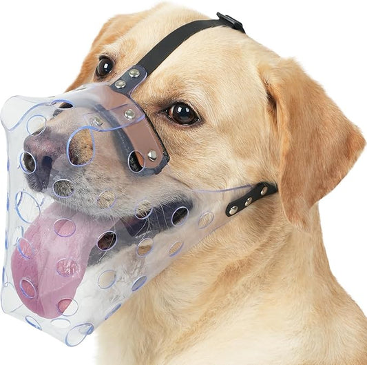 Mayerzon Dog Muzzle, Basket Muzzle for Large Medium Small Dogs, Humane Cage Mouth Guard to Prevent Biting Chewing Eating, Breathable Muzzle for Grooming Training Walking Vet Visits (M, Clear)