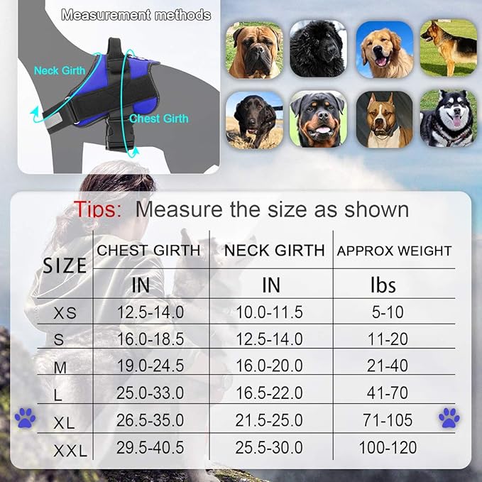 Bolux Dog Harness, No-Pull Reflective Dog Vest, Breathable Adjustable Pet Harness with Handle for Outdoor Walking - No More Pulling, Tugging or Choking (Blue, XL)
