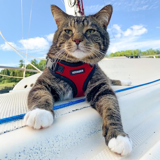 Voyager Step-in Lock Dog Harness w Reflective Dog Leash Combo Set with Neoprene Handle 5ft - Supports Small, Medium and Large Breed Puppies/Cats by Best Pet Supplies - Red/Black Trim, M