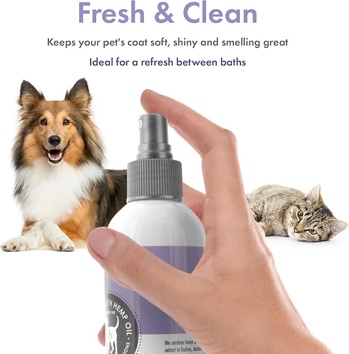 Petkin Hemp Waterless Dog Shampoo Spray – with Hemp Oil & Calming Lavender Extract, 8 fl oz – for Cats and Dogs – Soothes, Calms & Conditions, Keeps Pet Smelling Great – for Home and Travel