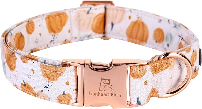 Lionheart glory Dog Collar Halloween Collar Dog Fall Dog Collars, Adjustable Heavy Duty Dog Collar for X-Small Dogs Pumpkin Collar Dog