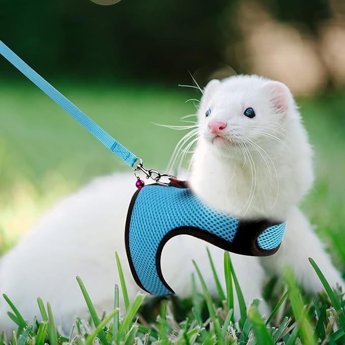 Rypet Small Animal Harness and Leash - Soft Mesh Small Pet Harness with Safe Bell, No Pull Comfort Padded Vest for Small Pet Blue M