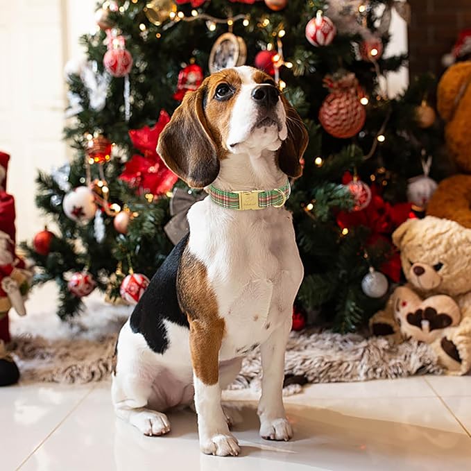 Christmas Dog Collars for Large Dog,Green Dog Collar with Safety Metal Buckle Adjustable Puppy Collars for Small Medium Dog,Boy&Girl&Male&Female Dog Gift,L-16-24"
