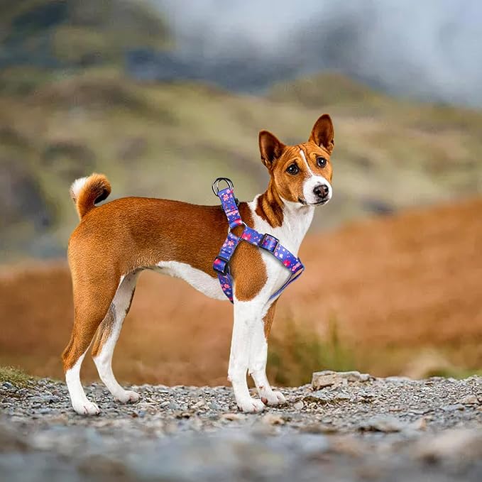 QQPETS Dog Harness Leash Set Adjustable Heavy Duty No Pull Halter Harnesses for Small Medium Large Breed Dogs Back Clip Anti-Twist Perfect for Walking (L(23"-32" Chest Girth), Cornflower Blue)