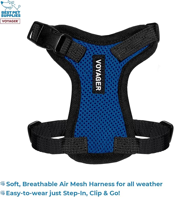 Voyager Step-in Lock Adjustable Cat Harness w. Cat Leash Combo Set with Neoprene Handle 5ft - Supports Small, Medium and Large Breed Cats by Best Pet Supplies - Royal Blue/Black Trim, XXS