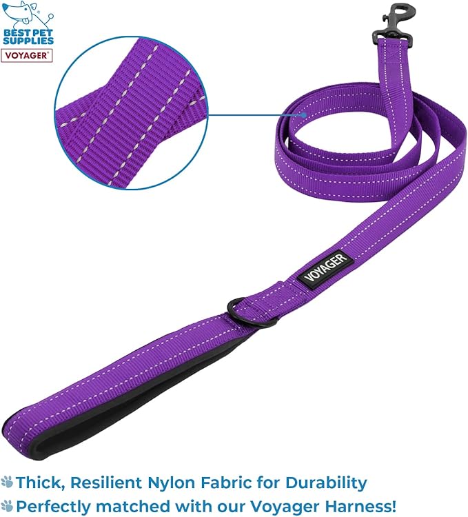 Voyager Step-in Lock Adjustable Cat Harness w. Cat Leash Combo Set with Neoprene Handle 5ft - Supports Small, Medium and Large Breed Cats by Best Pet Supplies - Purple, XXS