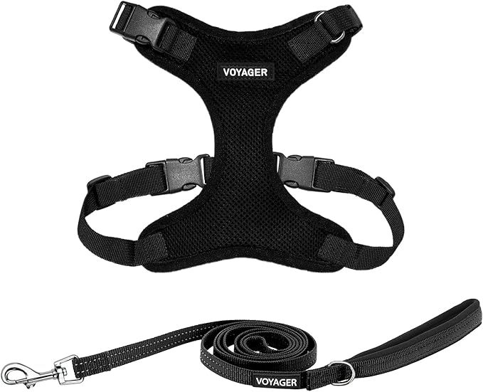 Voyager Step-in Lock Dog Harness w Reflective Dog Leash Combo Set with Neoprene Handle 5ft - Supports Small, Medium and Large Breed Puppies/Cats by Best Pet Supplies - Black, S