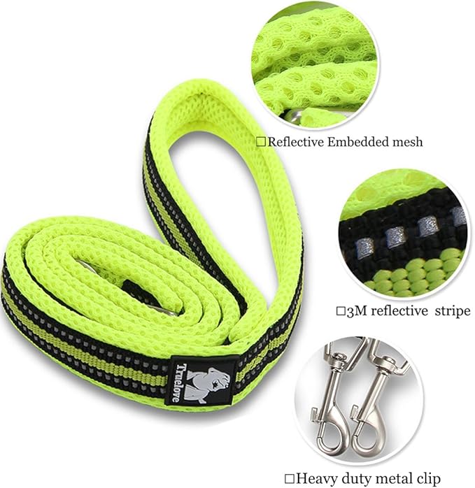 Reflective Nylon No-Pull Dog Harness and Training Leash Set Padded Durable Adjustable(L, Green Set)