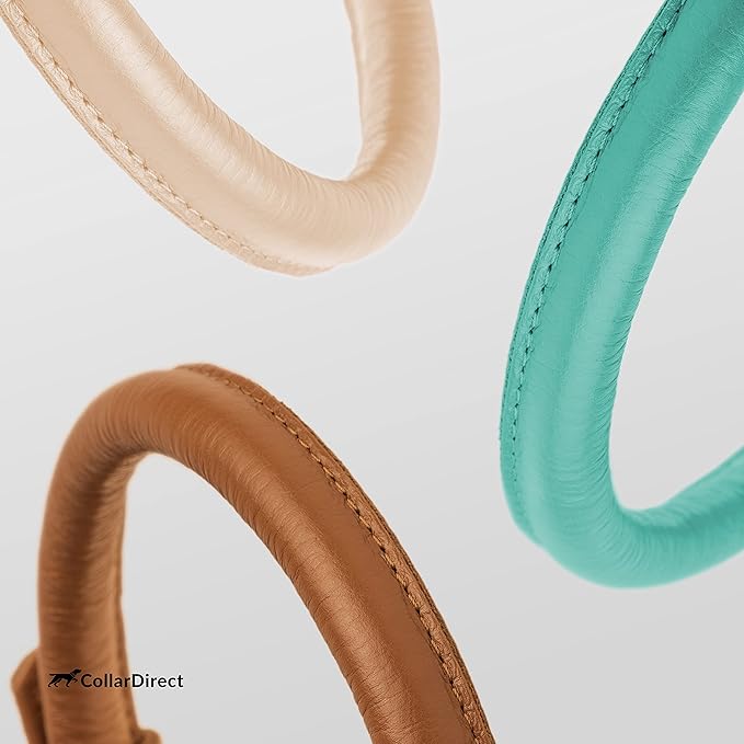 CollarDirect Rolled Leather Dog Collar, Soft Padded Round Puppy Collar, Handmade Genuine Leather Collar Dog Small Large Cat Collars 13 Colors (15-19 Inch, Mint Green Textured)