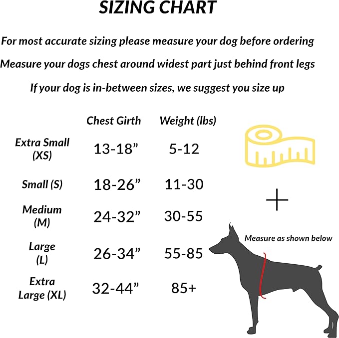 ShawnCo Essential Dog Harness, No-Pull Pet Vest with 3 Leash Clips, No Choke, Reflective, Adjustable and Padded, for Easy Walking and Training for Small, Medium and Large Dogs (Sunset Orange, XS)