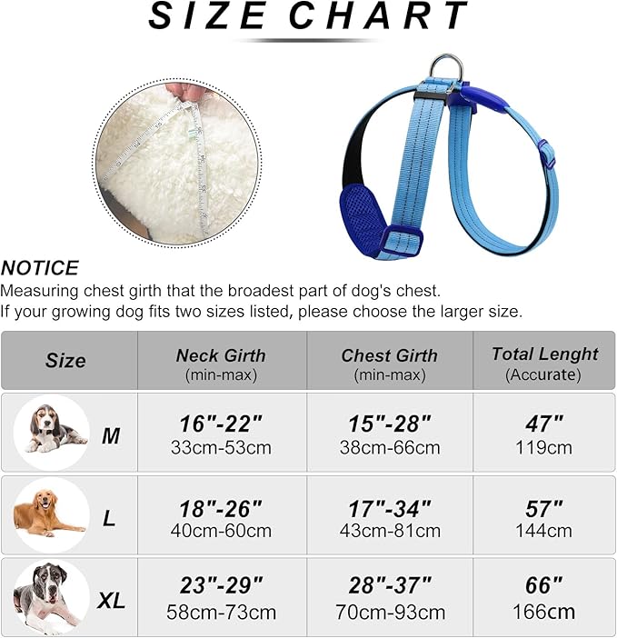LED Light Up Dog Vest Harness Rechargeable, Soft Padded, Adjustable & Reflective Lighted Dog Harness Waterproof, Glow Dark Dog Light Harness for Camping Night Safety Walking, Medium Blue