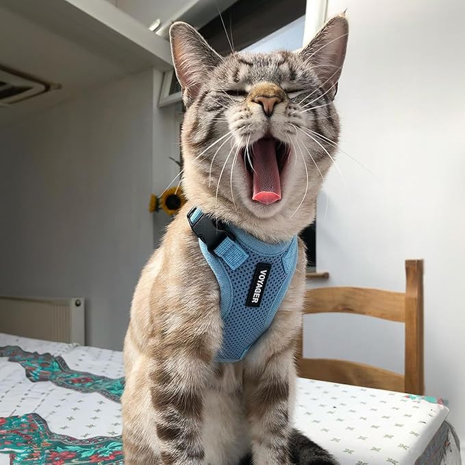 Voyager Step-in Lock Dog Harness w Reflective Dog Leash Combo Set with Neoprene Handle 5ft - Supports Small, Medium and Large Breed Puppies/Cats by Best Pet Supplies - Baby Blue, XL