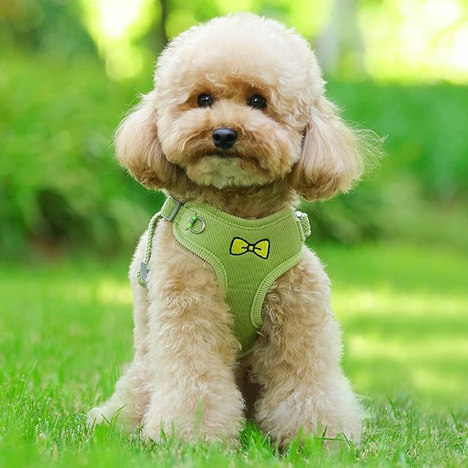 No Pull Dog Harness with Leash Pet Soft Vest Harness and Leash Set Dog Cat No Choke Escape Proof Harness Reflective Step in Harness for Small Medium Dogs Cats (Pastel Green, XLarge)
