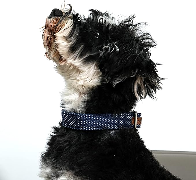 Lionet Paws Boy Dog Collar, Comfortable Adjustable Cute Navy Blue Collar with Metal Buckle for Male Dogs Gift, Large, Neck 16-24 inches