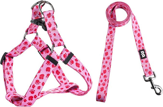 QQPETS Dog Harness Leash Set Adjustable Heavy Duty No Pull Halter Harnesses for Small Medium Large Breed Dogs Back Clip Anti-Twist Perfect for Walking