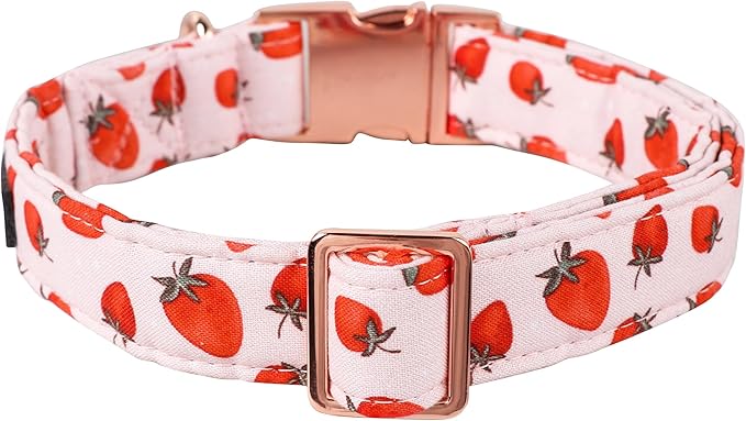 Lionet Paws Dog Collar, Comfortable Adjustable Cute Collar with Metal Buckle for Male Female Dogs Gift, Strawberry Pattern, Medium, Neck 13.5-22 inches