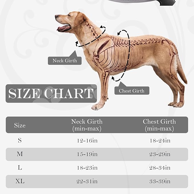 Reflective No Pull Dog Harness for Medium Dogs, Easy Control Dog Vest Harness, Breathable Mesh Harness, Comfortable and Adjustable, Metal Ring and Control Handle, Gray M